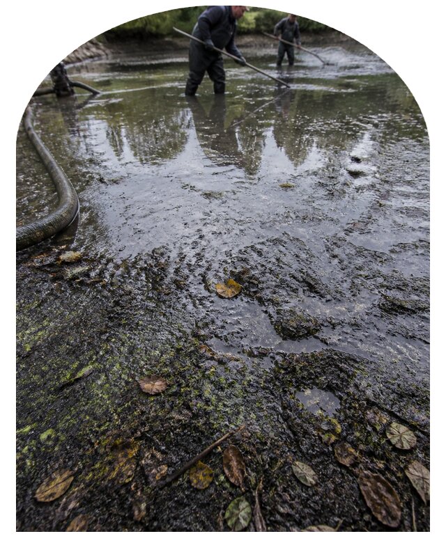 Очистка пруда в Липецке от ила мусора и водорослей с вывозом
